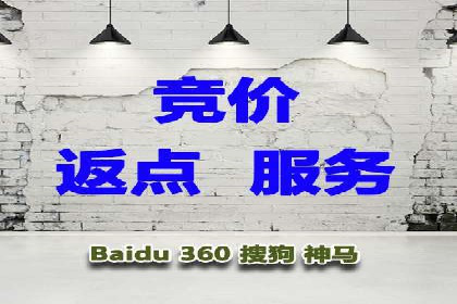 创新营销手段：百度包年竞价的未来趋势
